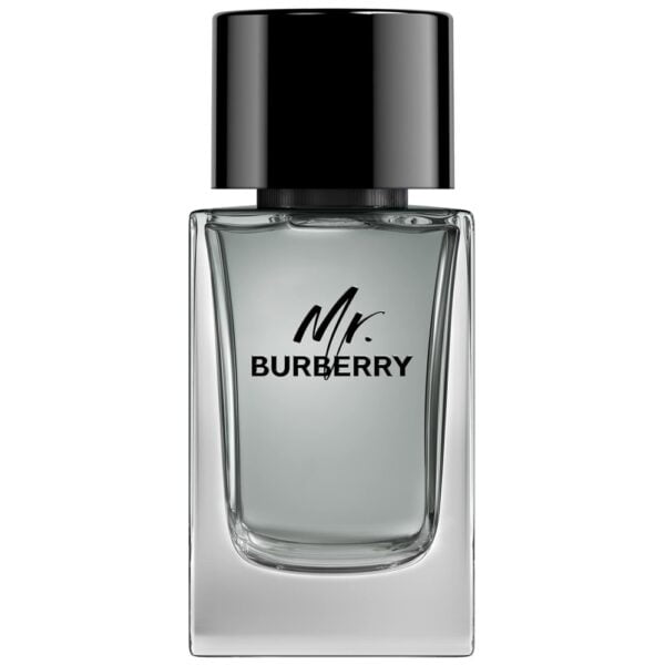 207649-burberry-mr-burberry-eau-de-toilette-100-ml-1000x1000-1.jpg
