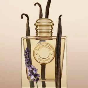 عطر بربري جوديس او دو برفيوم - الصورة 4