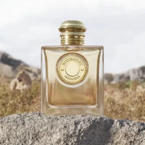 عطر بربري جوديس او دو برفيوم - الصورة 3