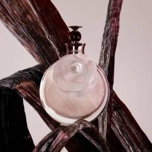عطر فالنتينو فالنتينا اودي برفيوم - الصورة 3