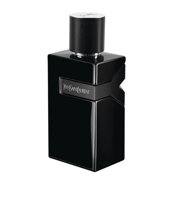 ysl-y-le-parfum-eau-de-parfum-100ml_16866371_44021670_2048.jpg