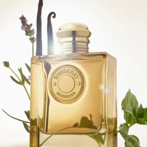 عطر جوديس إنتنس من بربري - الصورة 3