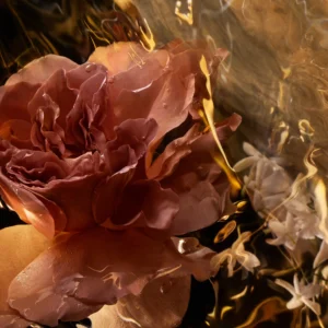 عطر سانتال رويال أو دو بارفيوم - الصورة 3