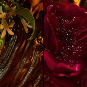 عطر باتشولي أردنت من جيرلان - الصورة 4
