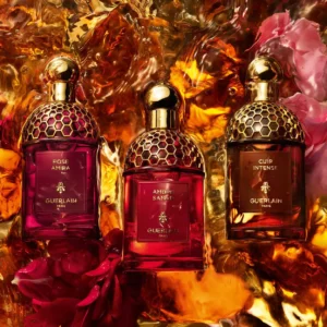 عطر أبسولو أليجوريا أمبر سمار - الصورة 3