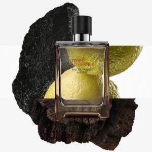 عطر تير دي هيرميس إنتنس أو دو بارفيوم - الصورة 3