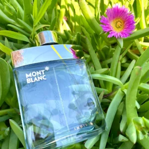 عطر انديفيدوال من مونت بلانك للرجال - الصورة 3